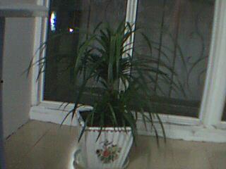 桂林新闻爆料每日桂林,每日桂林新鲜事速览